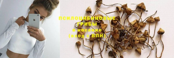 крисы Белокуриха