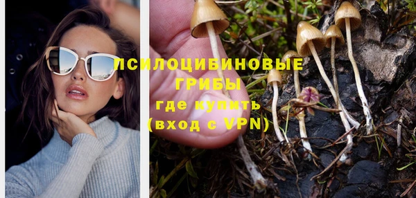 прущая мука Новодвинск