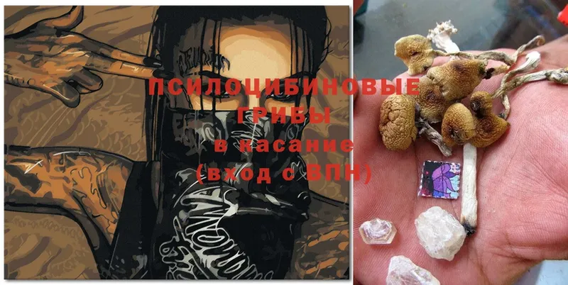 Галлюциногенные грибы MAGIC MUSHROOMS  kraken сайт  Нарьян-Мар 