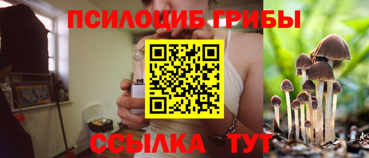 Псилоцибиновые грибы GOLDEN TEACHER Нарьян-Мар
